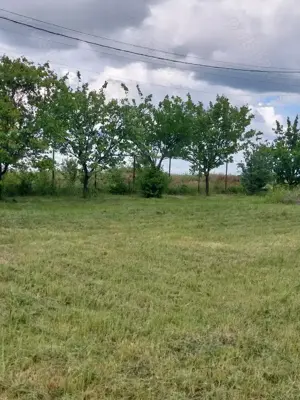 teren Carcea (Manastire) de vanzare