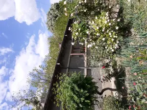 Important ! - imagine 2