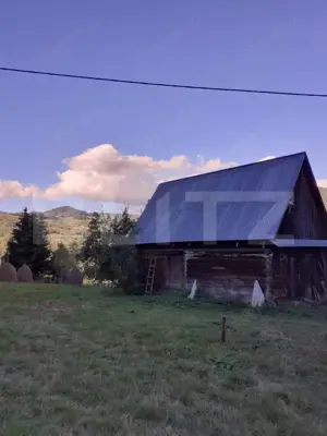 Casă la munte, cu teren 13383 mp, zona Horea - Apuseni