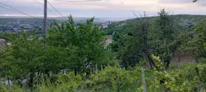 Bucium!Teren intravilan cu casa,1500mp!