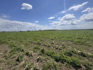 Teren de vanzare – Locatie strategica langa aeroport - imagine 3