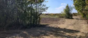 Teren langa padurea de la Ordoreanu, Clinceni - imagine 4