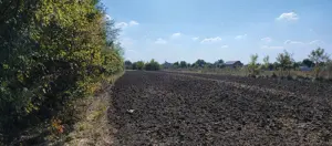 Teren langa padurea de la Ordoreanu, Clinceni - imagine 3