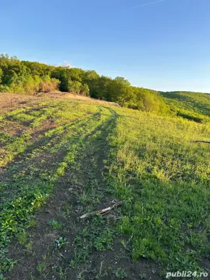 Vand teren extravilan  - imagine 4