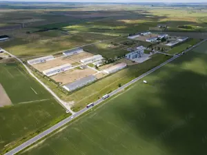 Teren Intravilan Investiții 11.600 mp Salonta - imagine 10 Teren Intravilan Investiții 11.600 mp Salonta - imagine 10