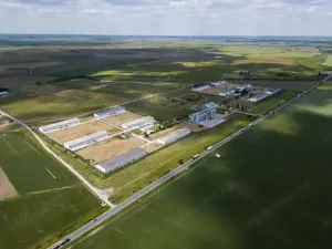 Teren Intravilan Investiții 11.600 mp Salonta - imagine 6 Teren Intravilan Investiții 11.600 mp Salonta - imagine 6