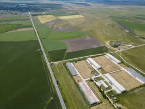 Teren Intravilan Investiții 11.600 mp Salonta - imagine 4 Teren Intravilan Investiții 11.600 mp Salonta - imagine 4