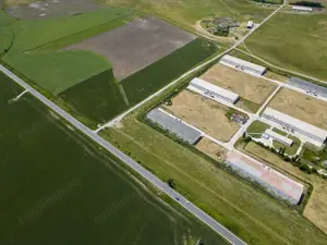 Teren Intravilan Investiții 11.600 mp Salonta - imagine 8 Teren Intravilan Investiții 11.600 mp Salonta - imagine 8