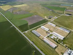 Teren Intravilan Investiții 11.600 mp Salonta - imagine 9 Teren Intravilan Investiții 11.600 mp Salonta - imagine 9