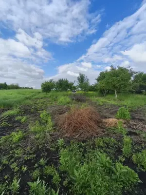 Casa 4 camere, 6000mp teren, zona centrala, Negostina, Siret - imagine 16