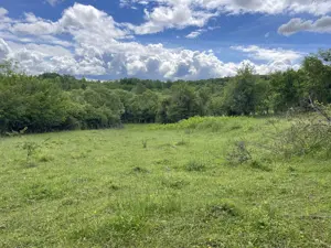 Teren intravilan , teren livadă lângă Băile Govora în  Mihaesti, Babeni, Budesti