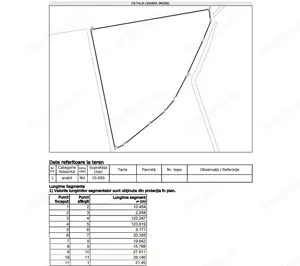 Ghiroda - Teren extravilan pt PUZ - S: 10.000 mp - imagine 3