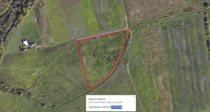 Ghiroda - Teren extravilan pt PUZ - S: 10.000 mp - imagine 2