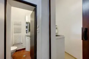 Zona Parcul Carol sp S+PE1 200 mp curte interioara - imagine 8