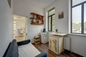 Zona Parcul Carol sp S+PE1 200 mp curte interioara - imagine 4