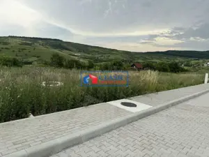 Vanzare teren autorizat pentru casa individuala, zona Borhanci - imagine 4