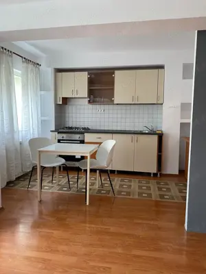 Otopeni - Str. Ferme F, in bloc 2009, penthouse 156 mp. etaj 2 - imagine 9