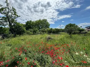 Teren intravilan 390mp, str Mugur nr 26B - Focsani 100 euro   mp - imagine 5