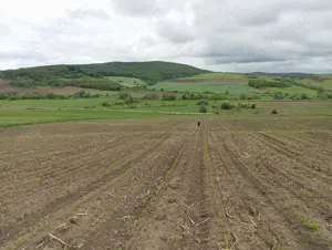 Teren extravilan in apropiere Agnita Sibiu 2,5  - imagine 3