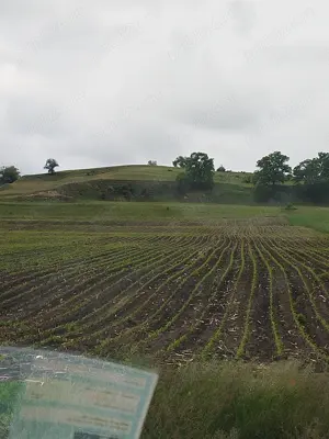 Teren extravilan in apropiere Agnita Sibiu 2,5  - imagine 2