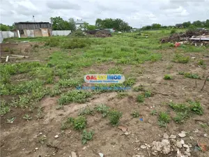 Buftea Samurcasi 400 mp utilitati strada asfaltata 50 euro mp - imagine 10