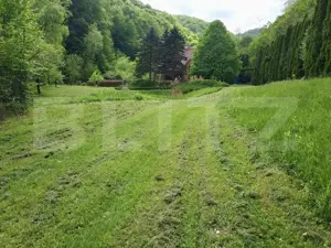 Casă de Vacanță pe Valea Ighielului – 3 camere, 2500 mp curte - imagine 15