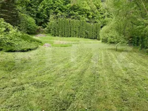 Casă de Vacanță pe Valea Ighielului – 3 camere, 2500 mp curte - imagine 13