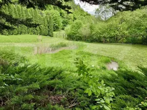 Casă de Vacanță pe Valea Ighielului – 3 camere, 2500 mp curte - imagine 12