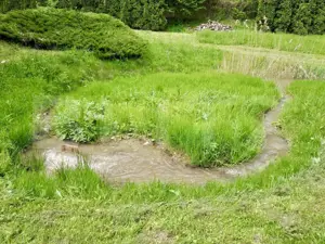 Casă de Vacanță pe Valea Ighielului – 3 camere, 2500 mp curte - imagine 14