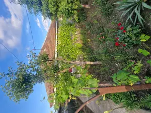 Casa de Vanzare Slobozia Noua  - imagine 6