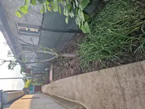 Casa de Vanzare Slobozia Noua  - imagine 7