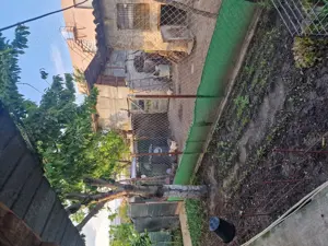 Casa de Vanzare Slobozia Noua  - imagine 5