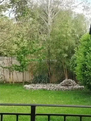 OCAZIE UNICA!!! Vila de lux, intr-o zona linistita, la 20 minute de Ploiesti - imagine 8