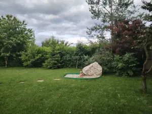 OCAZIE UNICA!!! Vila de lux, intr-o zona linistita, la 20 minute de Ploiesti - imagine 15