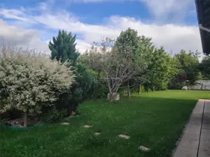 OCAZIE UNICA!!! Vila de lux, intr-o zona linistita, la 20 minute de Ploiesti - imagine 10