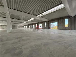 Vanzare depozit spatiu industrial hala Chitila - Rudeni, ILFOV - imagine 20