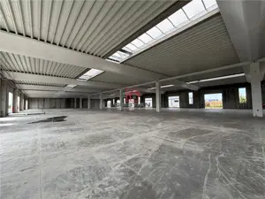 Vanzare depozit spatiu industrial hala Chitila - Rudeni, ILFOV - imagine 9