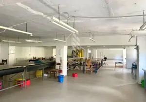 Spatii productie si depozitare, zona Sebis - Prunisor-Carand - imagine 10