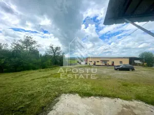 Spatii productie si depozitare, zona Sebis - Prunisor-Carand - imagine 9