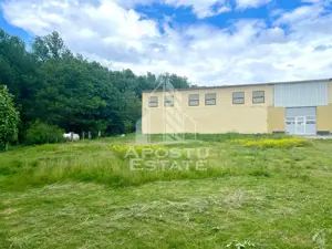 Spatii productie si depozitare, zona Sebis - Prunisor-Carand - imagine 4