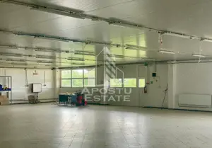 Spatii productie si depozitare, zona Sebis - Prunisor-Carand - imagine 6