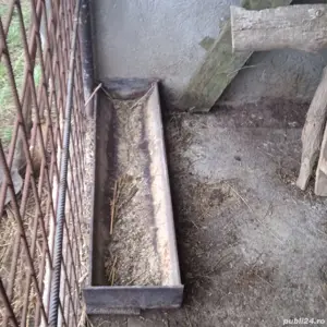 Vând 2 troci  - imagine 2