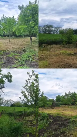 Casa de vanzare cu gradina Iclandu Mare - imagine 10