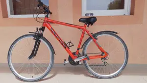 Bicicleta Gepida 