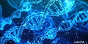 Meditatii biologie bac 