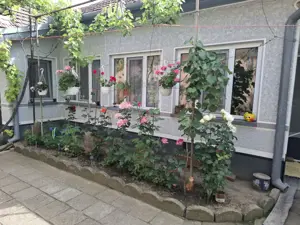 Casa renovata 4 camere in Nadlac - imagine 4