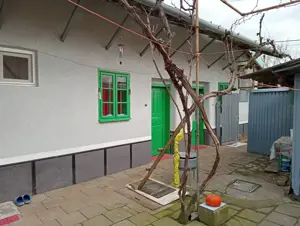 Casa renovata 4 camere in Nadlac - imagine 19