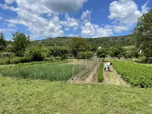 Teren intravilan 2060 mp, Manicesti (nod rutier A 1), Argeș, stradal, DN 7 C, sens Curtea de Argeș  - imagine 9