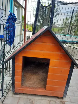 Vând cușca mare pentru câini pe măsură 