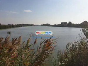 Teren intravilan 500 -1000mp, Stradal, Lac Berceni, Utilitati, 80E mp - imagine 5